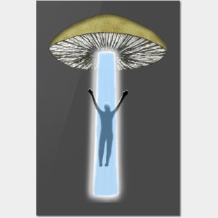 Magic Mushroom Trip Posters and Art